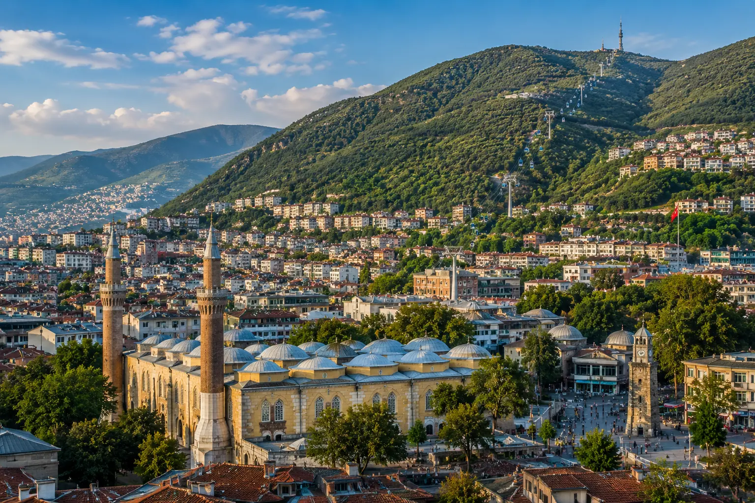 Bursa